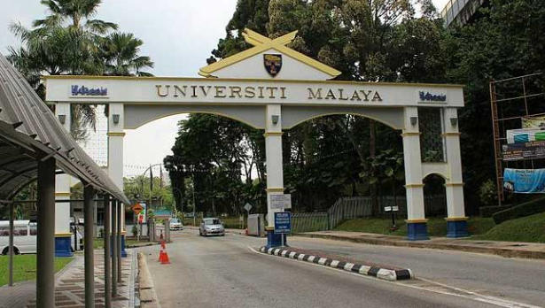 马来亚大学1
